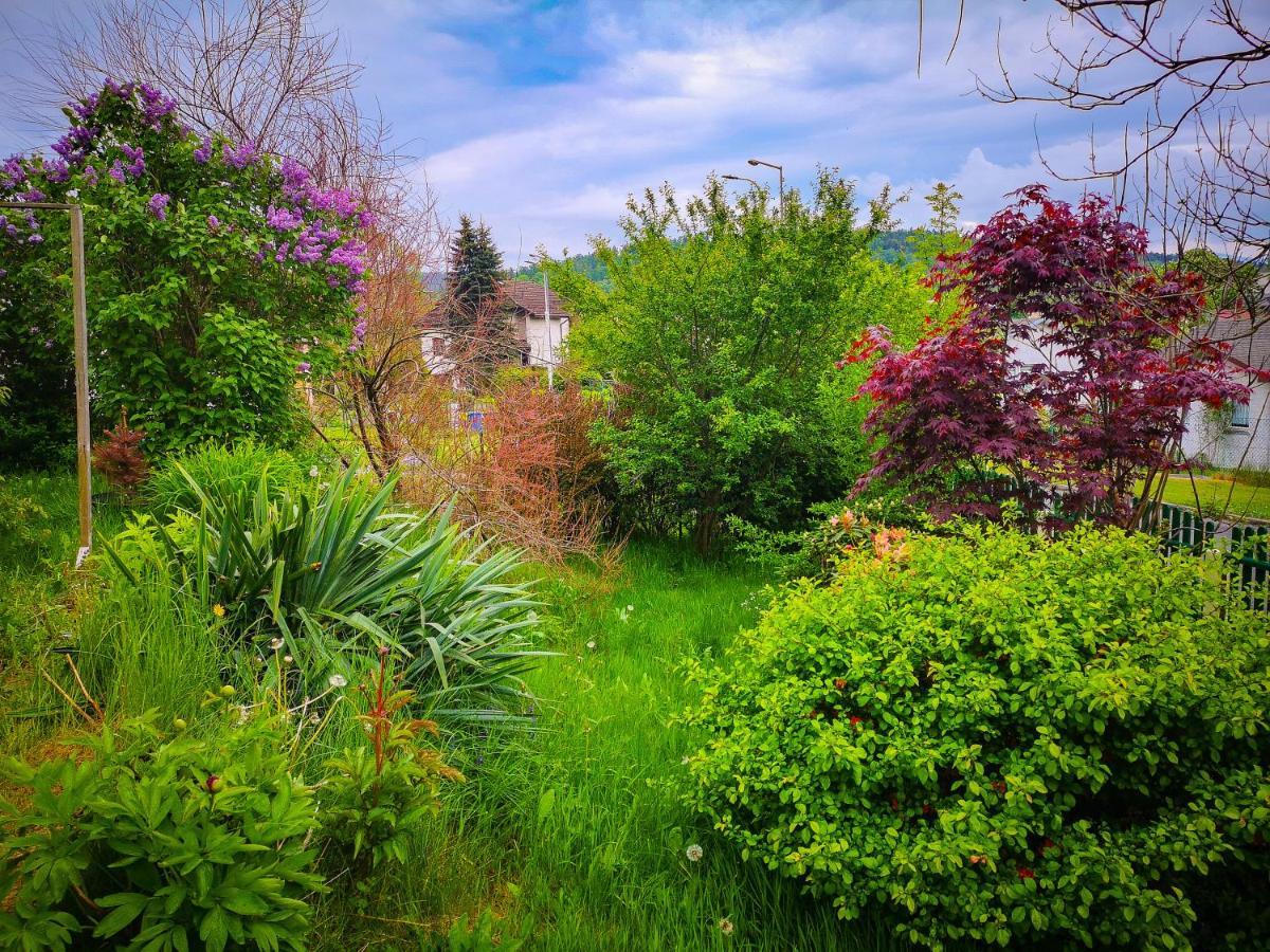 Bez Zegara Holiday home Ladek-Zdroj